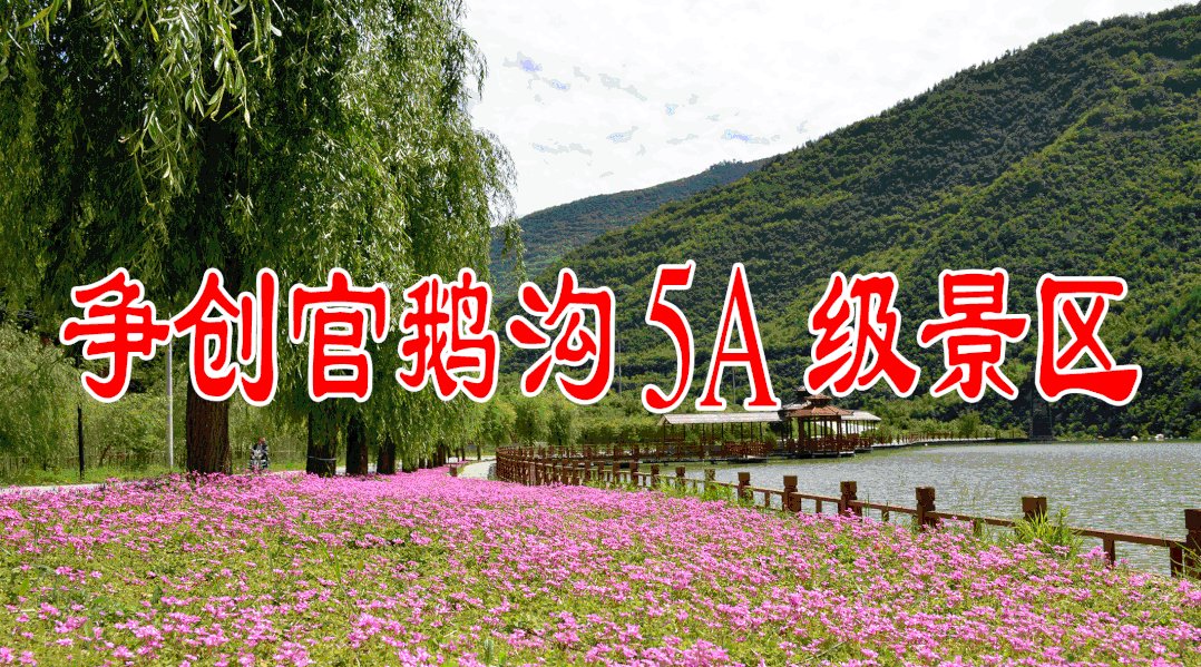 今天起,宕昌县全民免费接种新冠疫苗!
