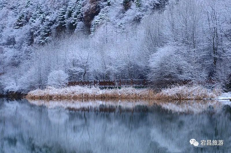 神兽即将归笼！是时候和你的TA来官鹅沟赴一场冰雪之约～