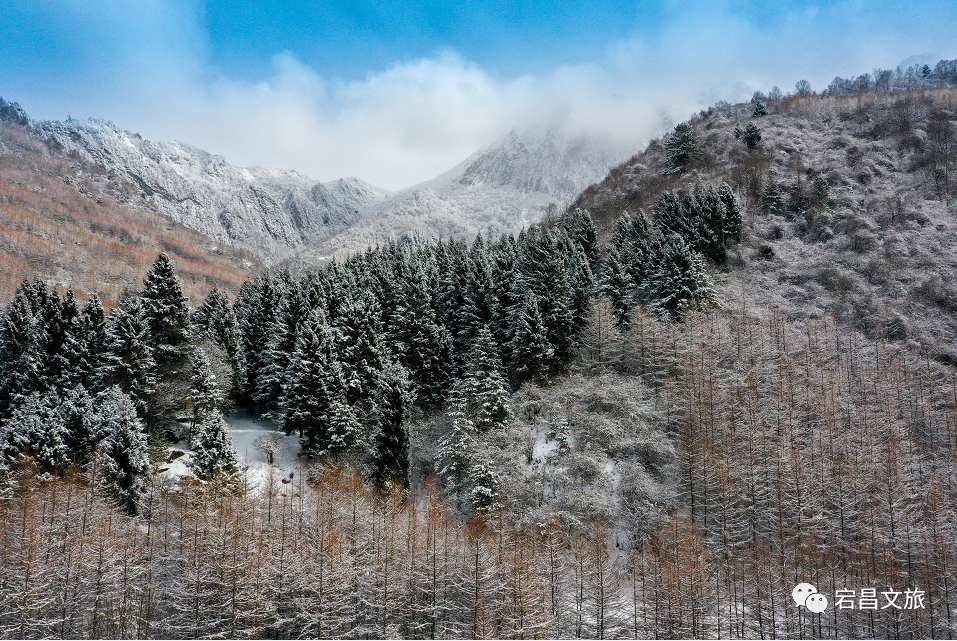 【大美宕昌】踏雪木隆沟，去看你没见过的银色秘境！