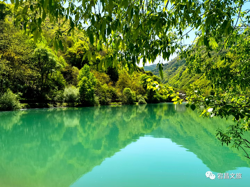 【大美宕昌】立夏啦！“泡”进官鹅绿意里，一次看个够！