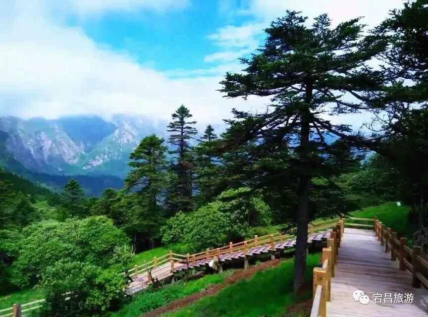 官鹅之夏 | 一个只有21℃的天然空调园了解一下