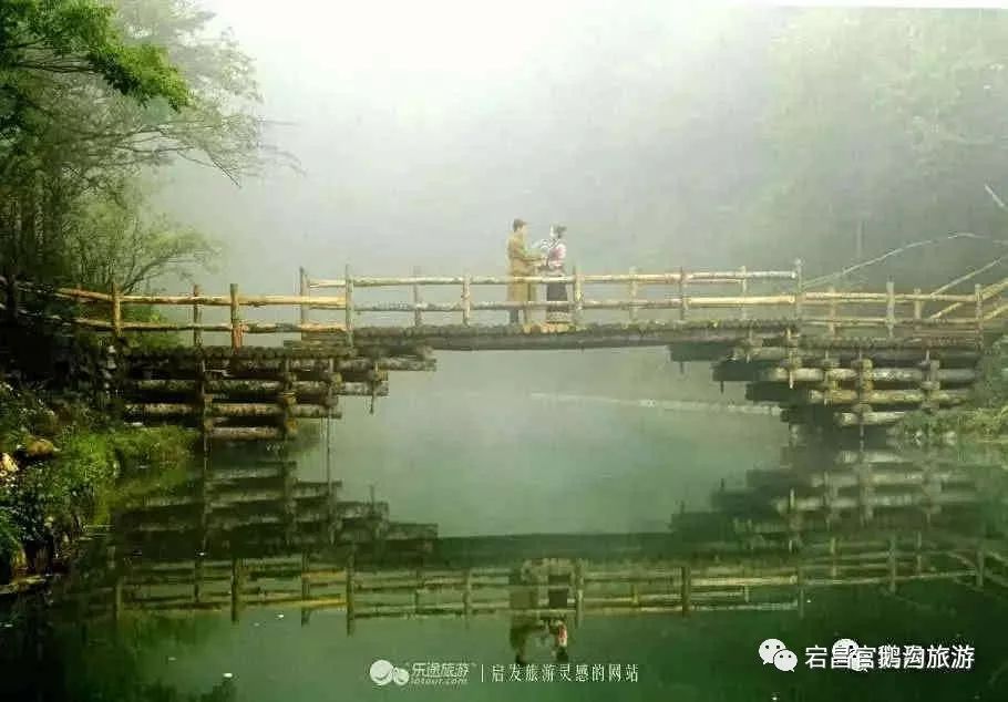 炎炎夏日，有你超甜，来官鹅沟我们度过一个20°C的夏天吧~