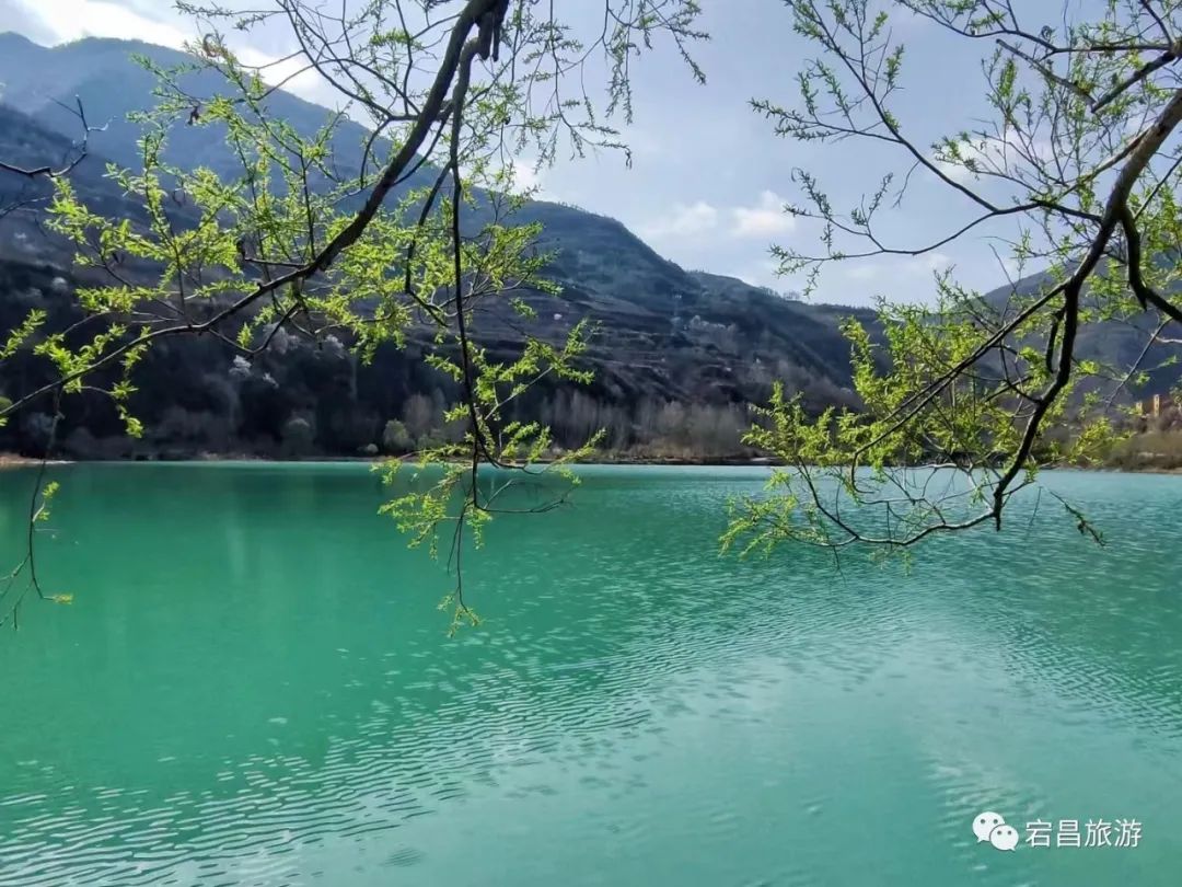 官鹅美景 | 阳春三月的旅行，从这里开始！