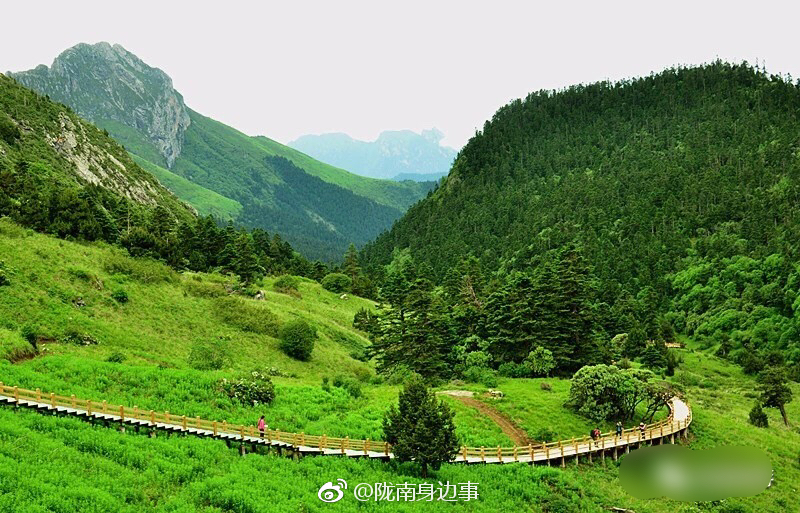 快来一起过炙热而浪漫的夏天~