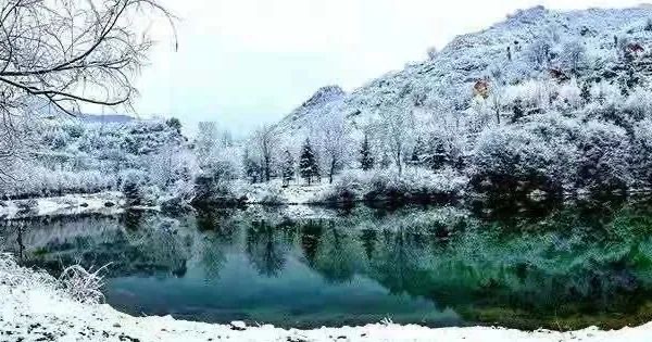 飞雪落官鹅