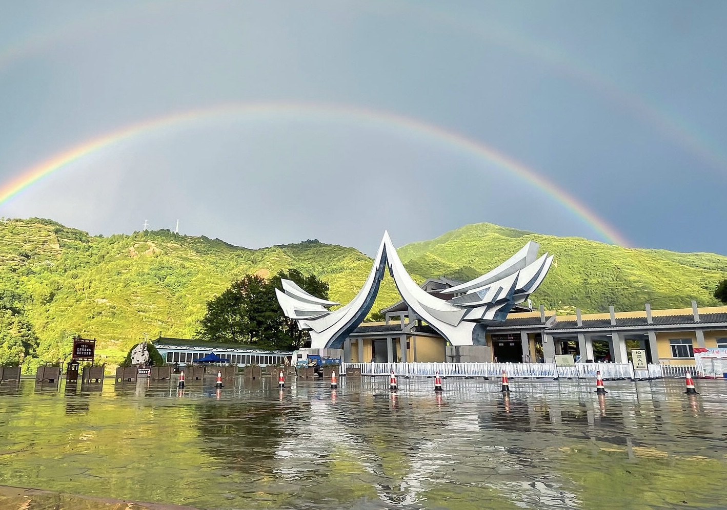 官鹅实景 | 雨中官鹅，“雨”众不同！