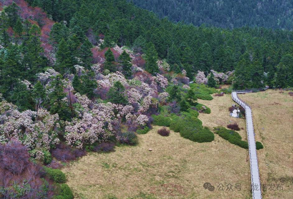 雷古神山
