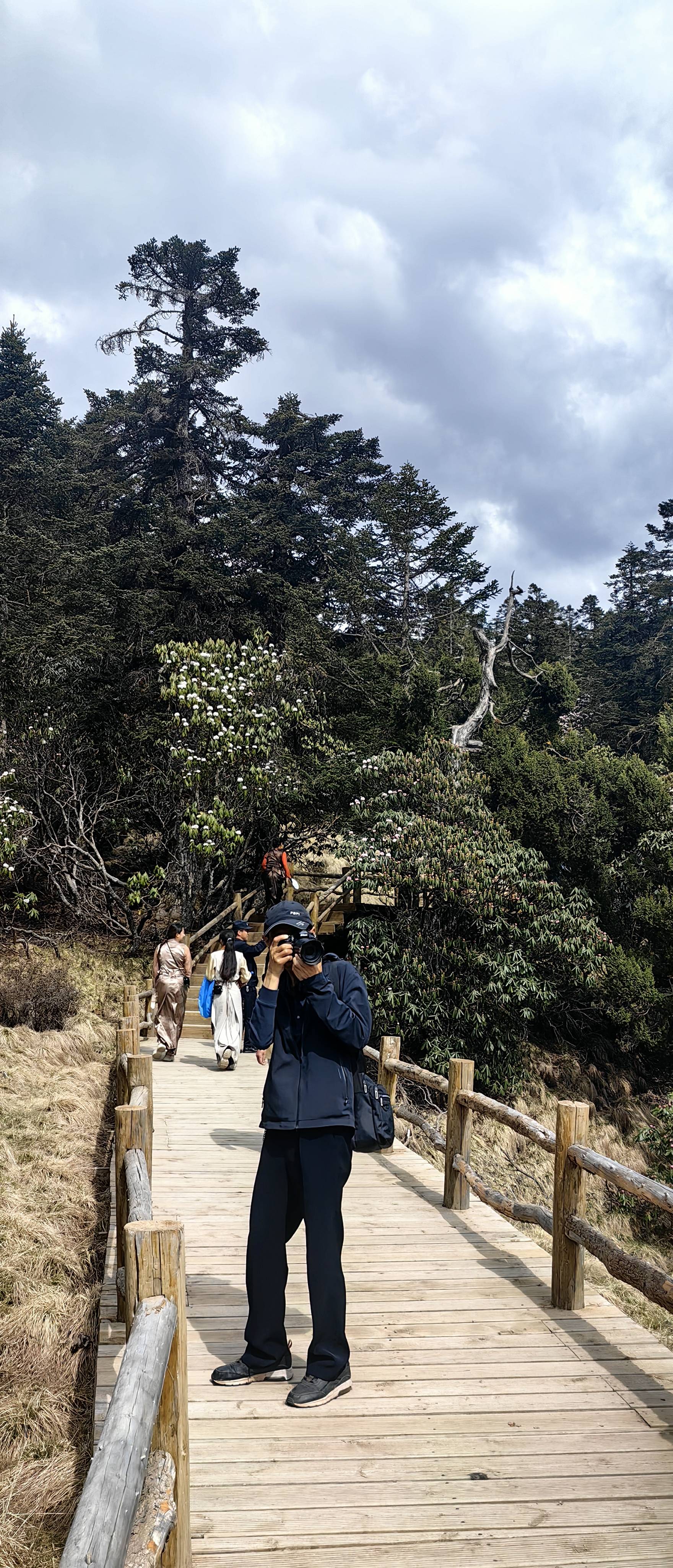 雷古山好美