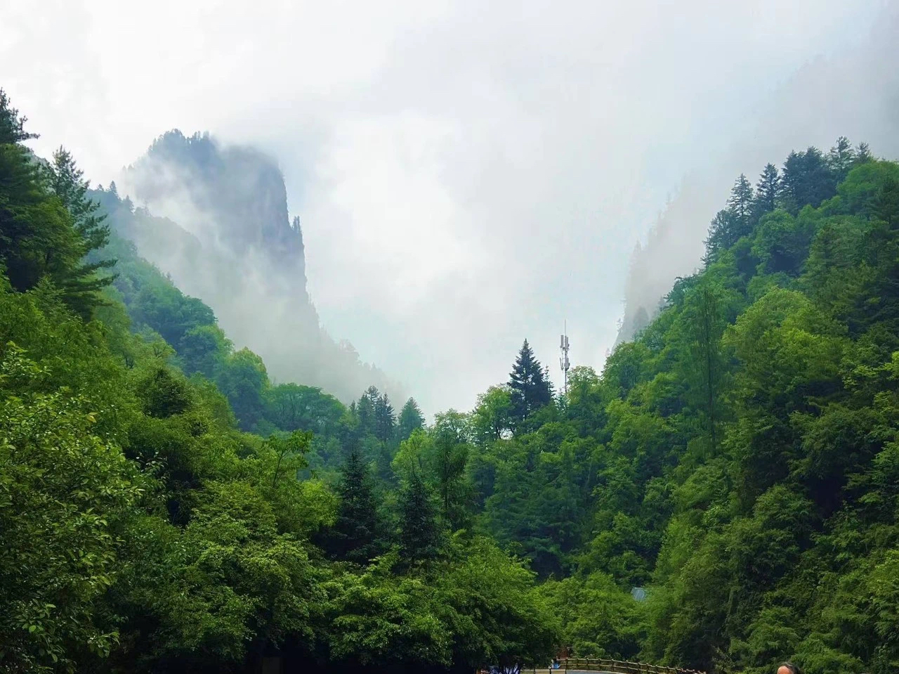 官鹅沟 | 夏日清凉秘境，邂逅诗意山水
