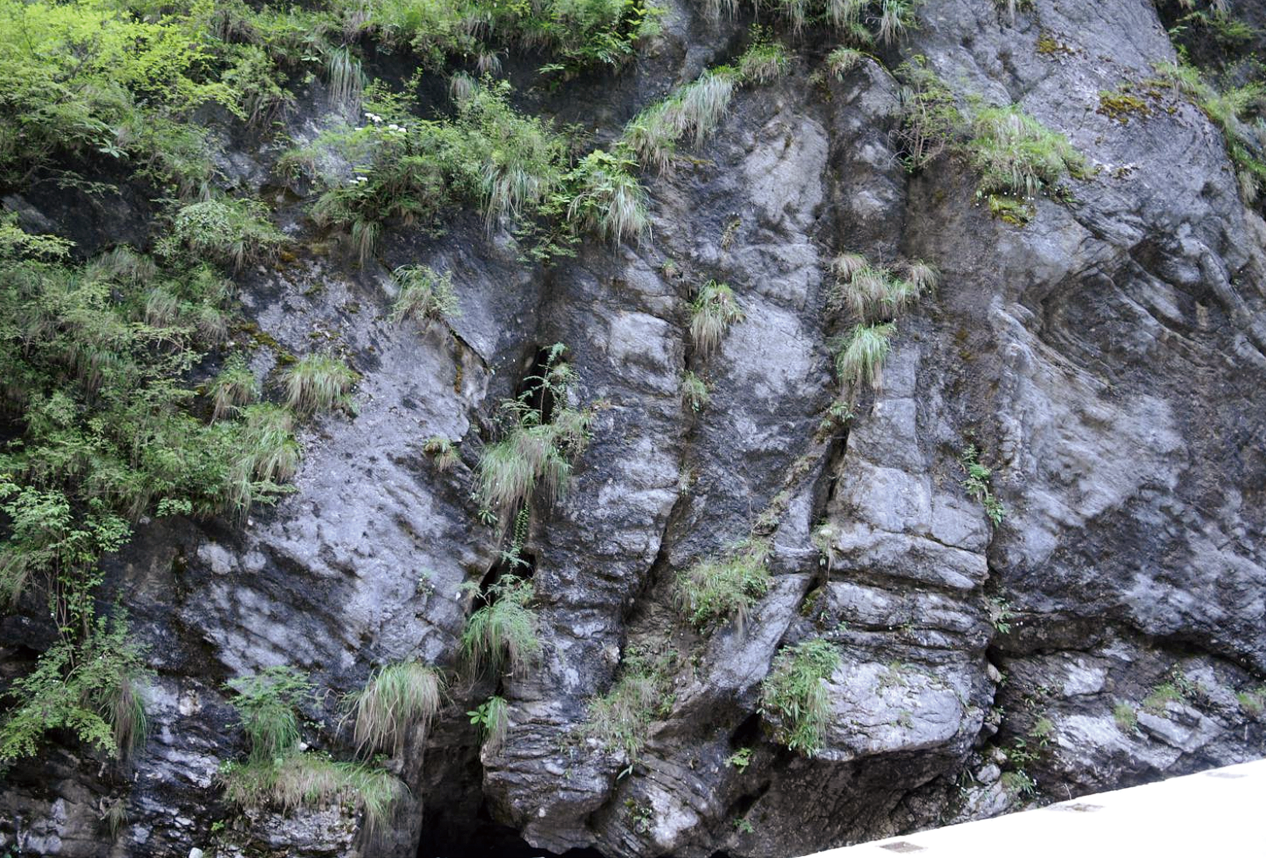 帚状旋卷构造The Brush Vortex Structure