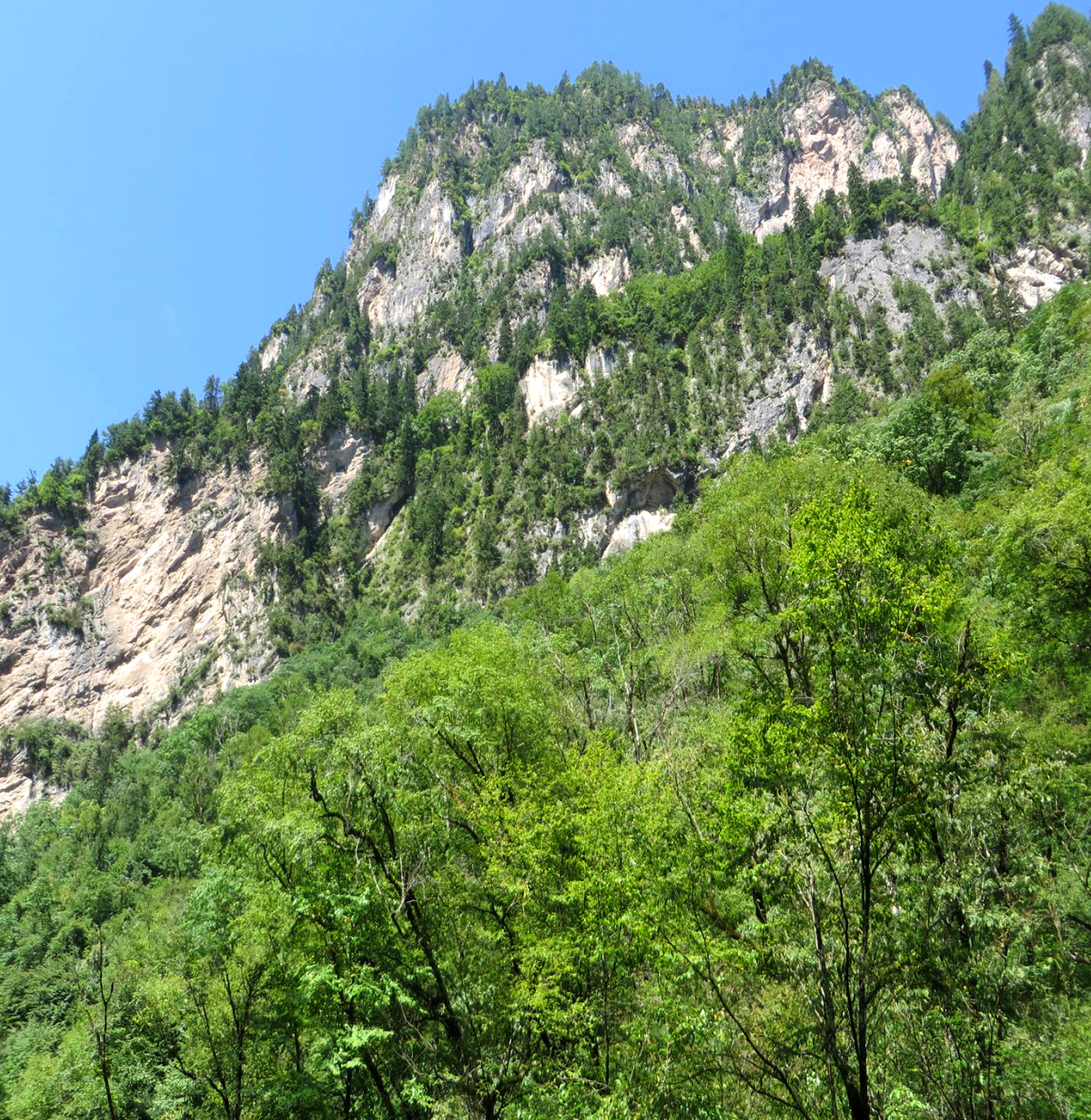 逆冲断层The Thrust Fault