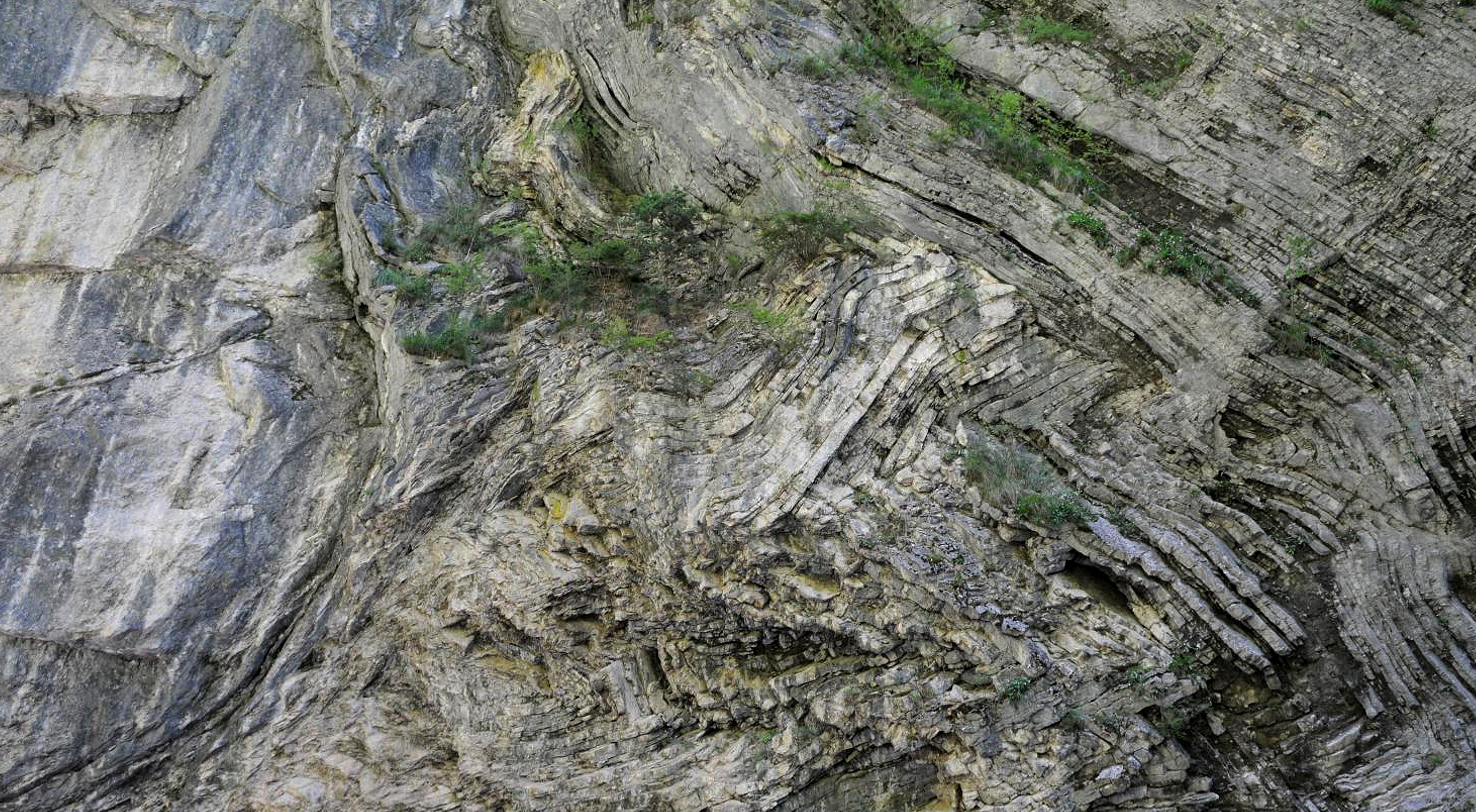 韧性剪切带与不协调褶皱The Ductile Shear Zone and Disharmonic Fold