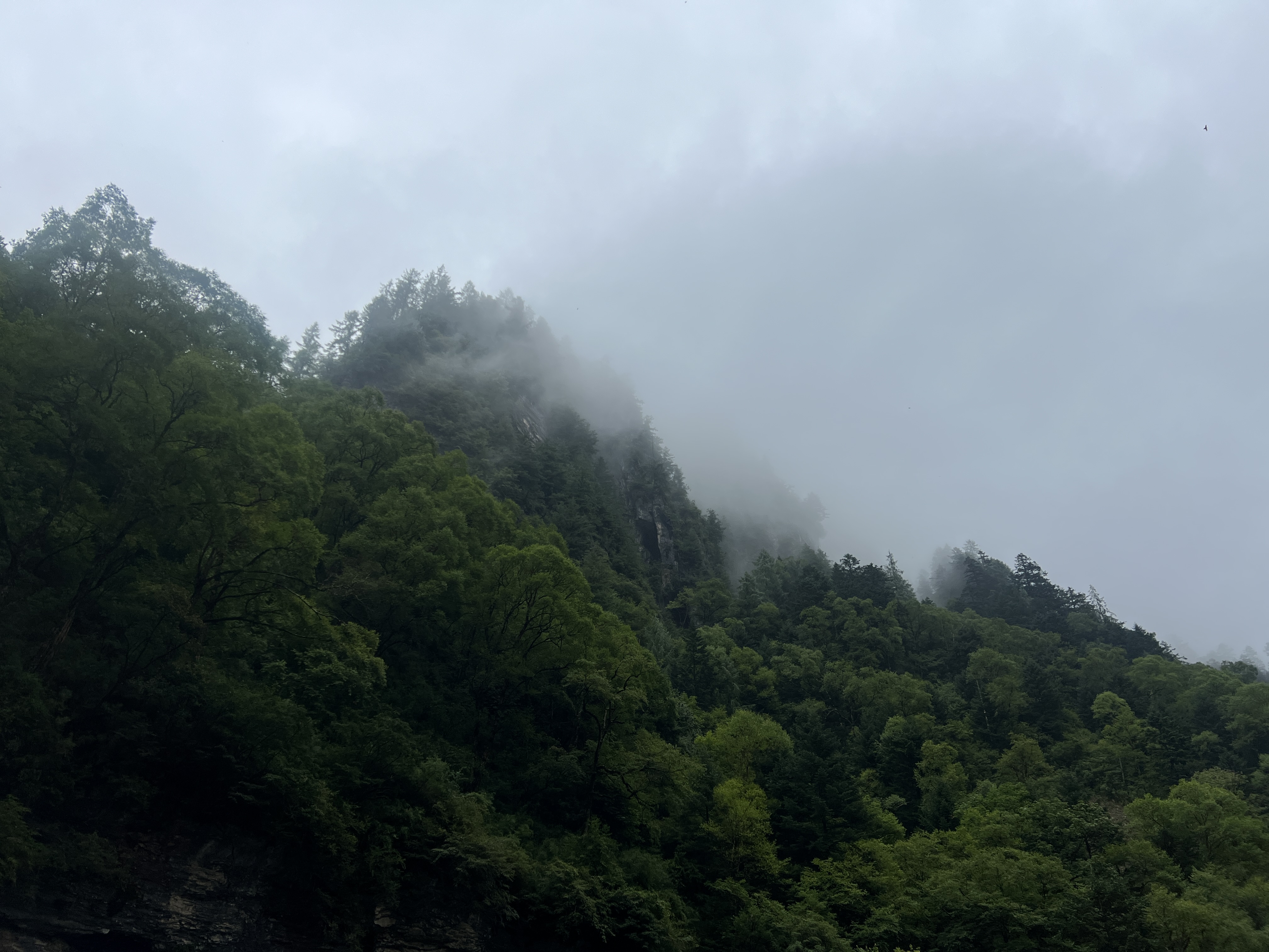 烟雨官鹅沟