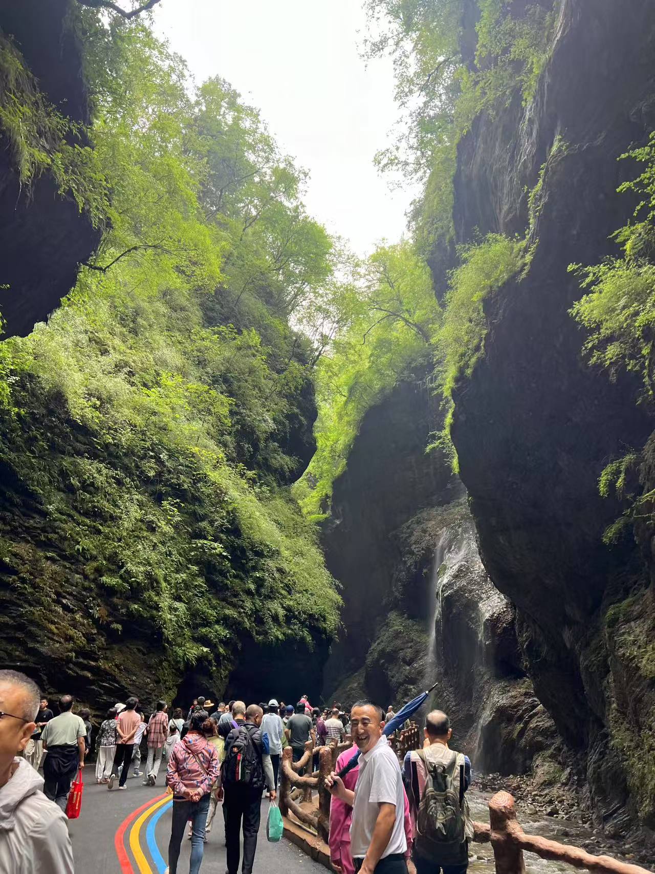 烟雨官鹅