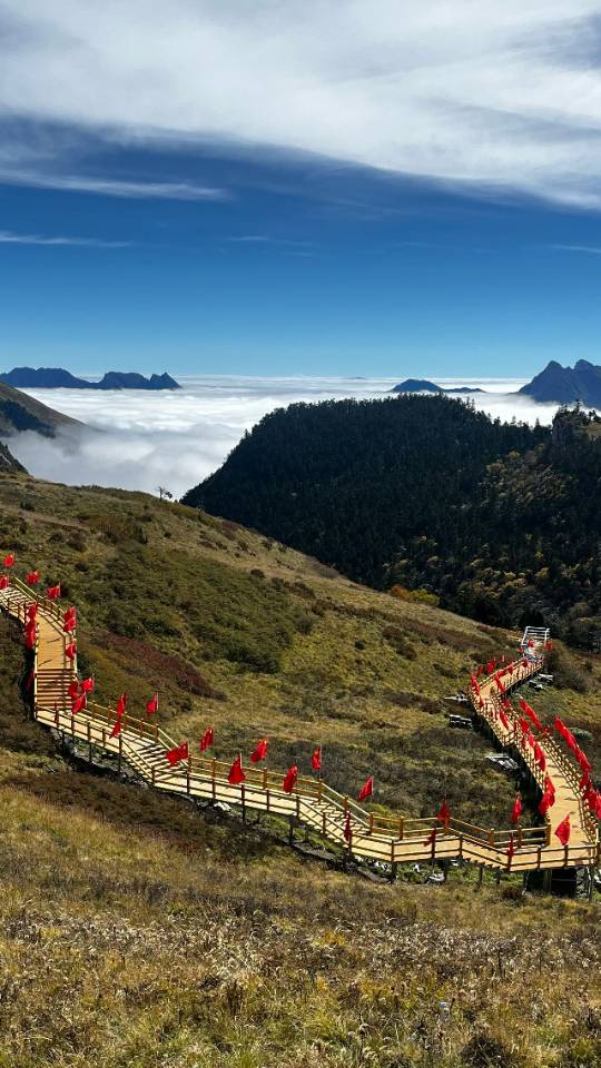 诚挚感谢景区工作人员