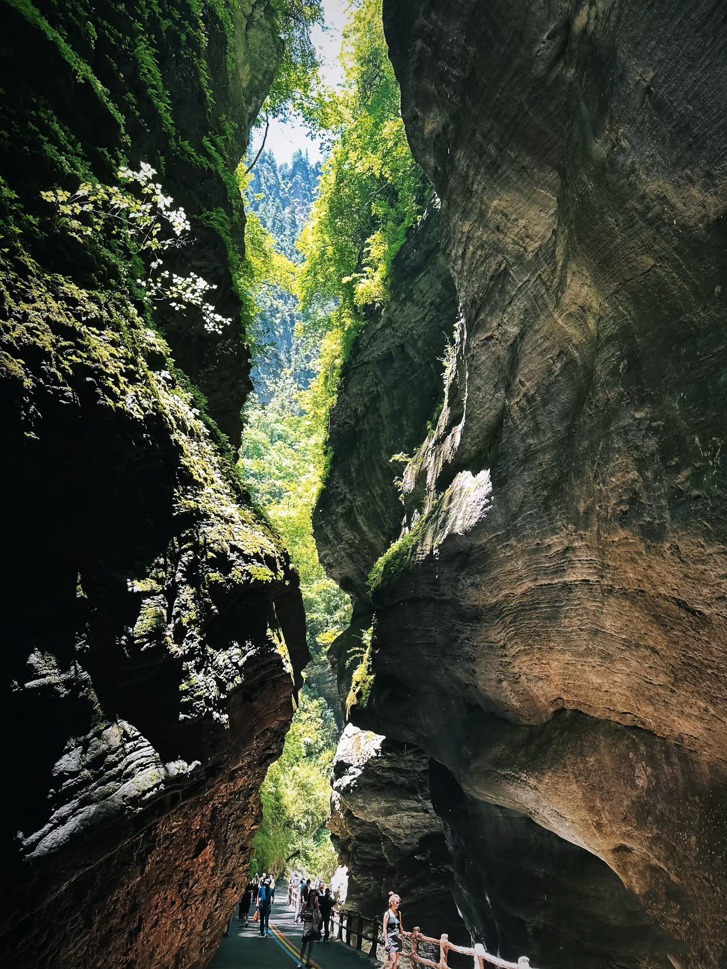 盘龙峡（官珠沟片区）